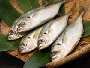 AJI “IZUMI” – Hourse Mackerel