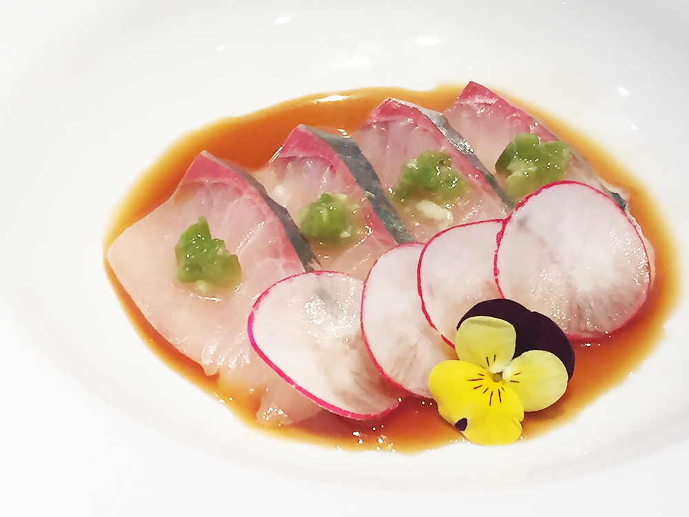 Shima-Aji – Striped jack