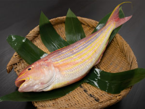 ITOYORI - Threadfin Bream