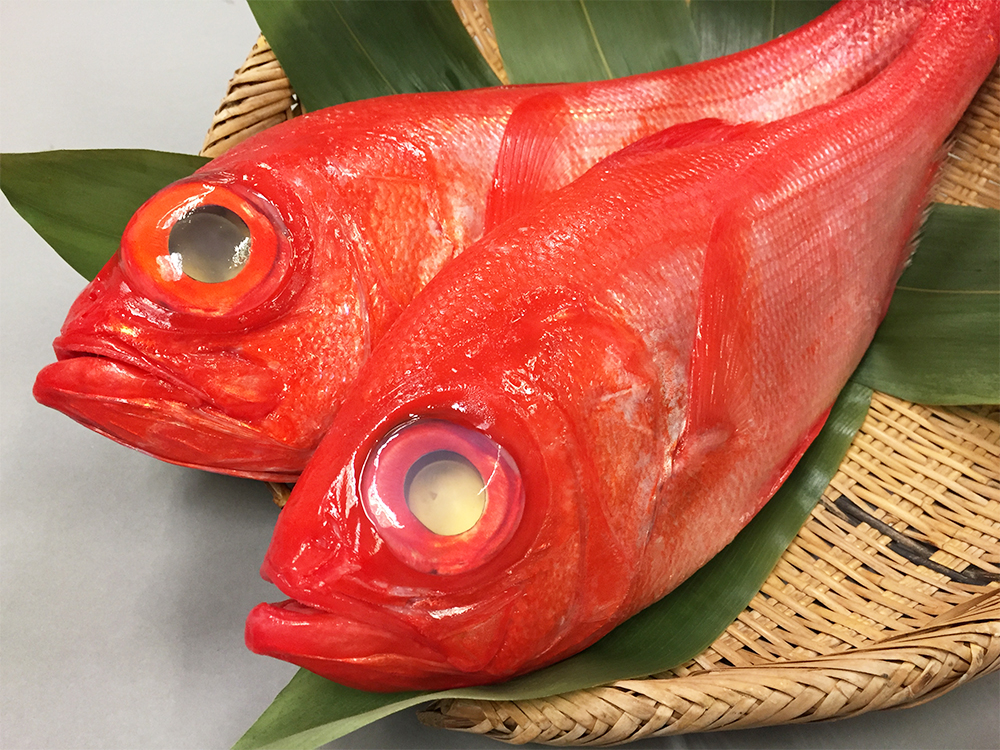 Premium wild caught fish brands Ocean Boy Co.,Ltd.