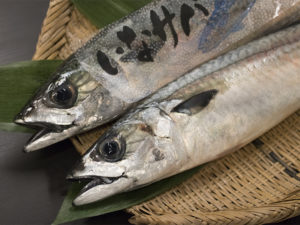 SABA – Mackerel (Wild)