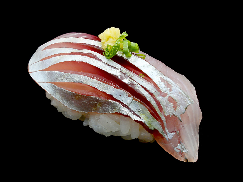 TSURI AJI – Horse Mackerel