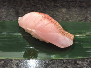 KINMEDAI – Alfonsino