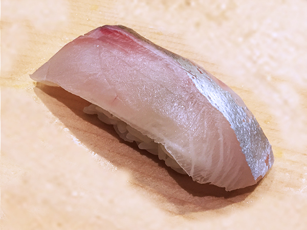 Shima-Aji – Striped jack