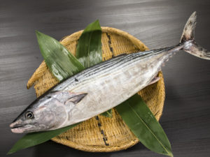 HAGATSUO - Striped Bonito