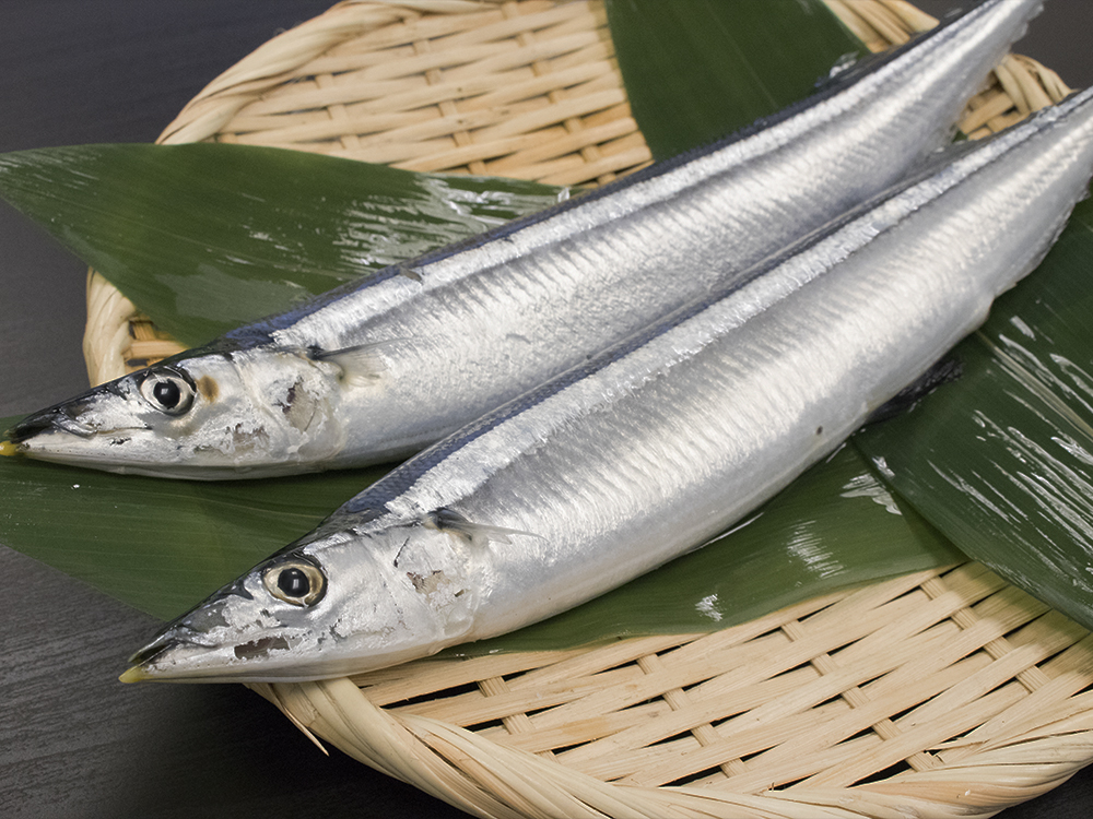 Sanma - Pike mackerel