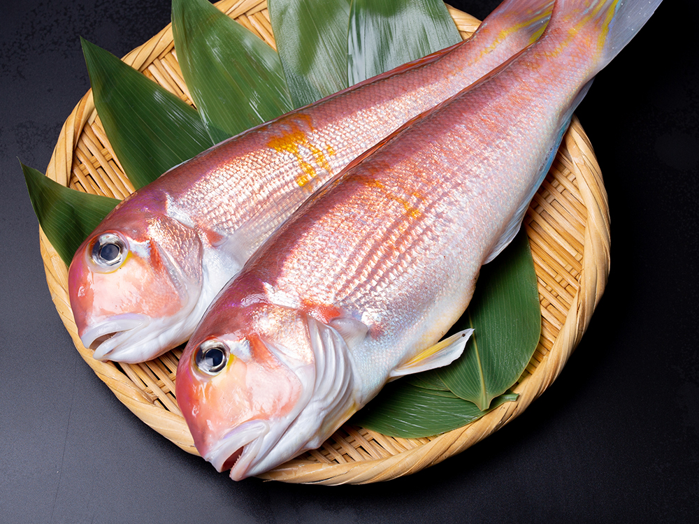 Fish in January - Ocean Boy Co.,Ltd.