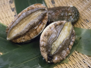 AWABI - Abalone