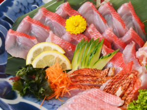 KINMEDAI – Alfonsino