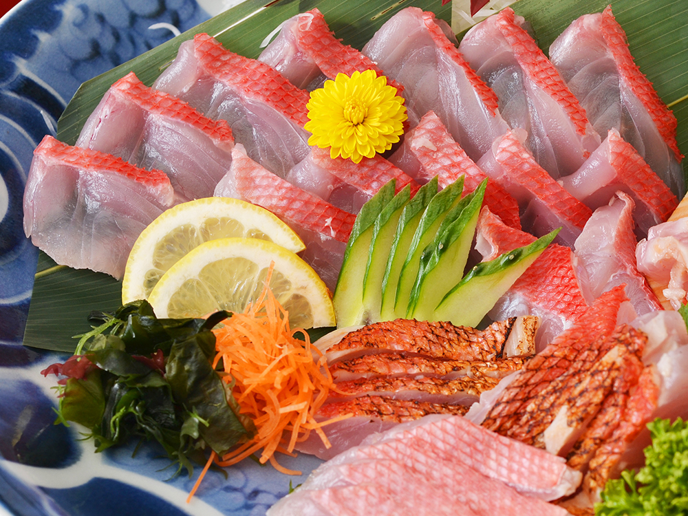 KINMEDAI – Alfonsino