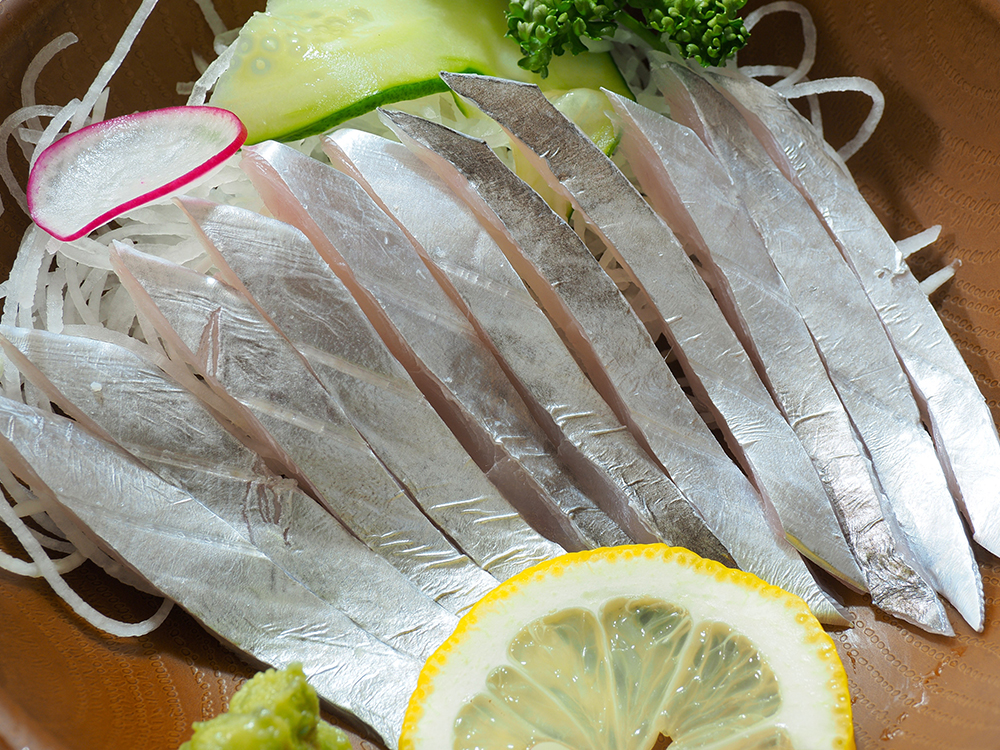 TACHIUO – Beltfish