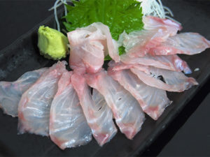 KUE – Longtooth Grouper