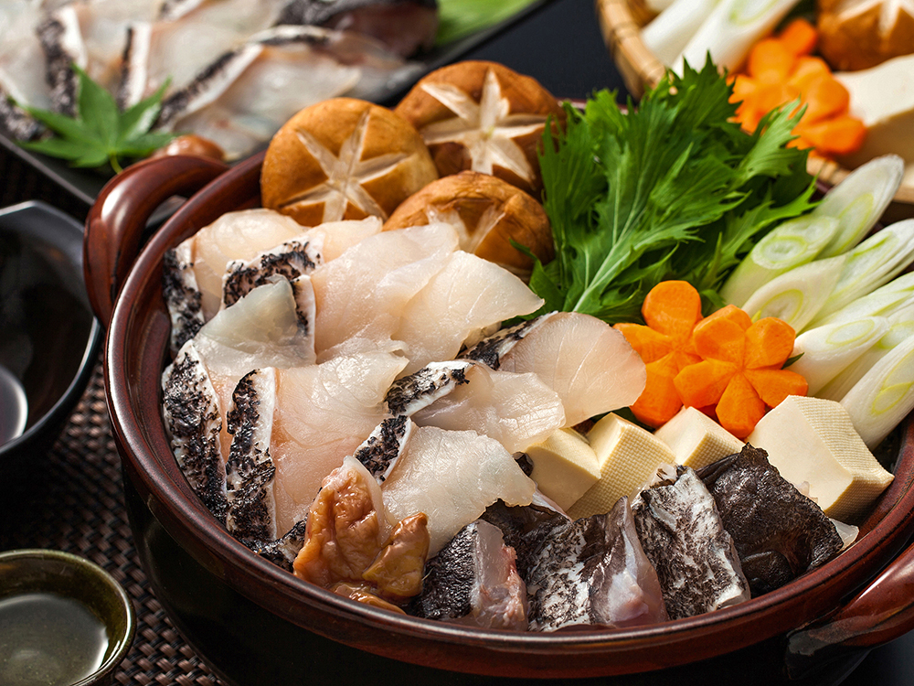 KUE – Longtooth Grouper