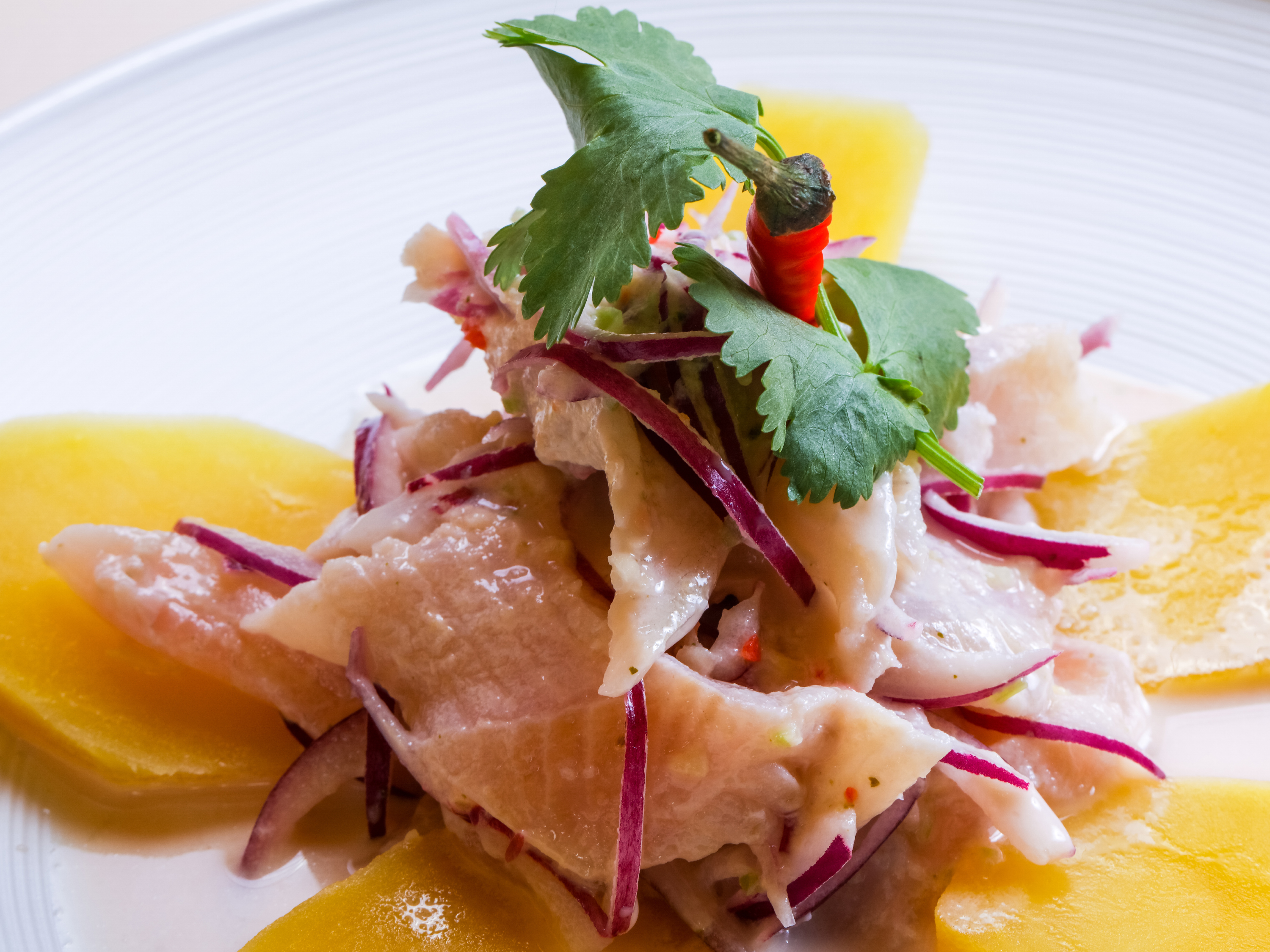TSURI AJI – Horse Mackerel