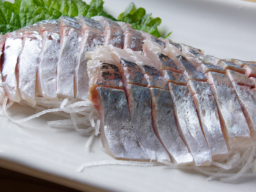 TSURI AJI – Horse Mackerel