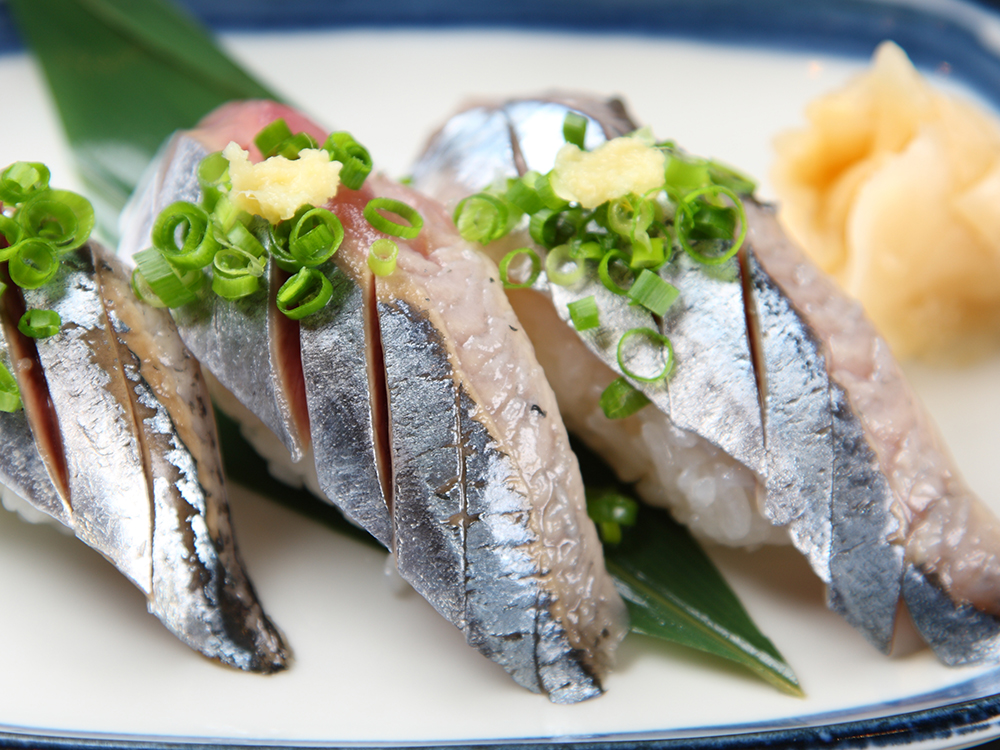 SANMA – Pike Mackerel