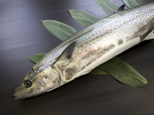 SAWARA – Japanese Spanish Mackerel