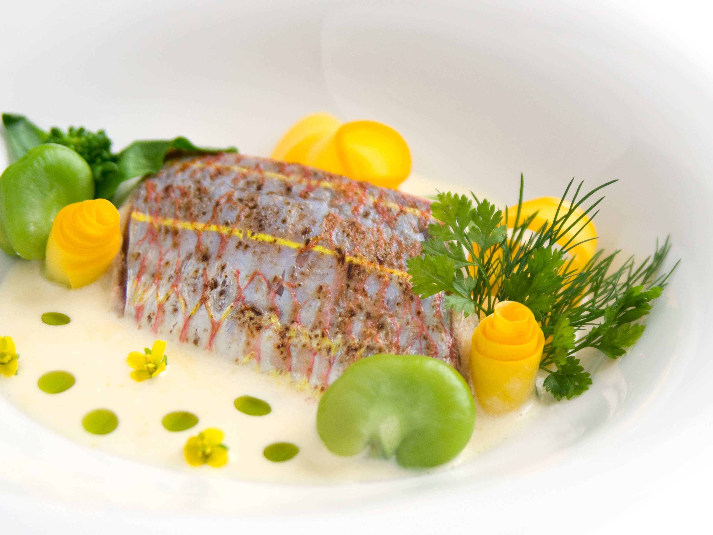 ITOYORI – Threadfin bream