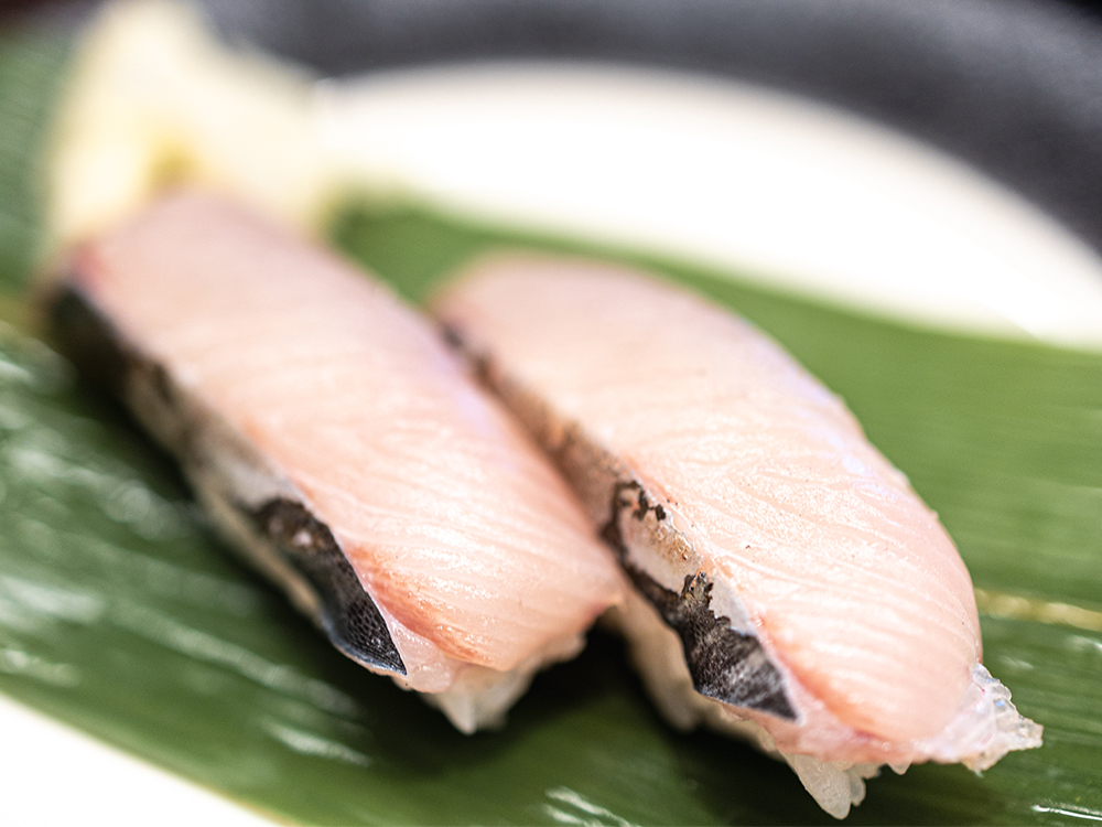 SAWARA – Japanese Spanish Mackerel
