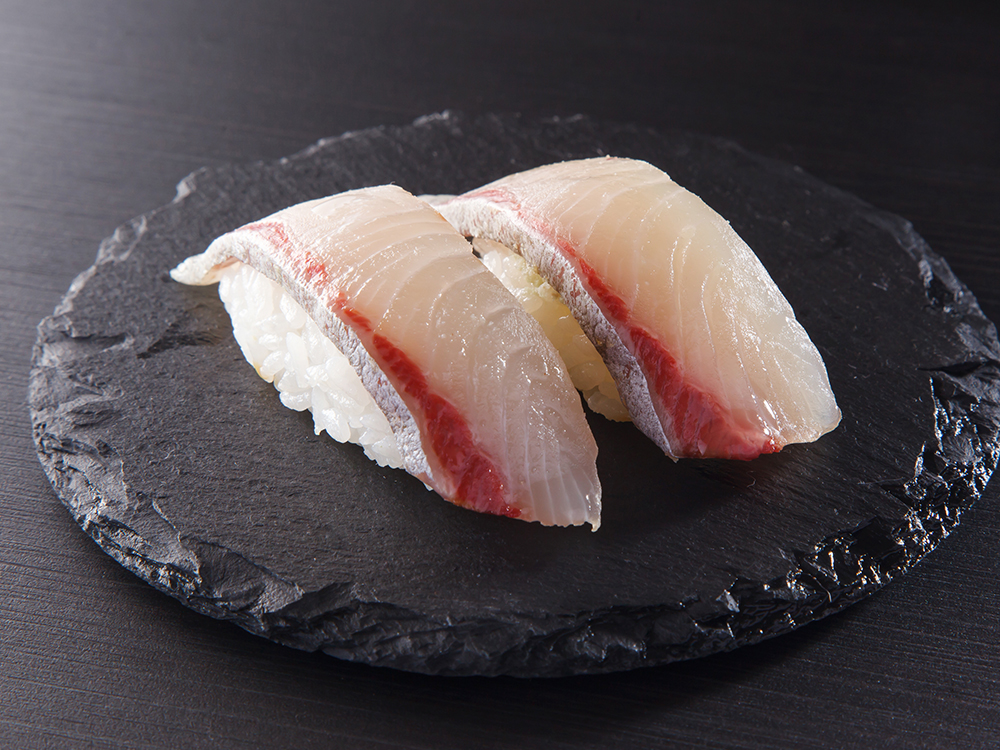 KANPACHI – Farm raised AmberjackAmberjack