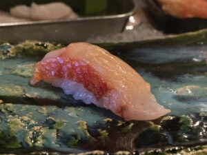 KINMEDAI – Alfonsino