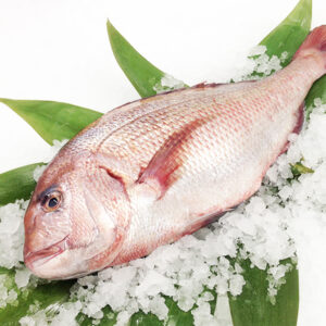 madai_toretore_003_600_600