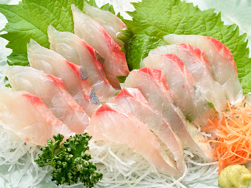 Shima-Aji – Striped jack