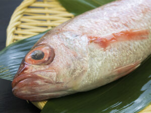 utsu “Benihitomi” – Black throat