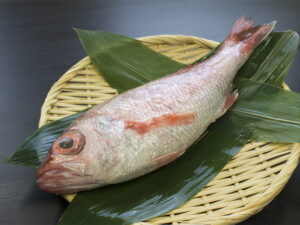 Akamutsu “Benihitomi” – Black throat