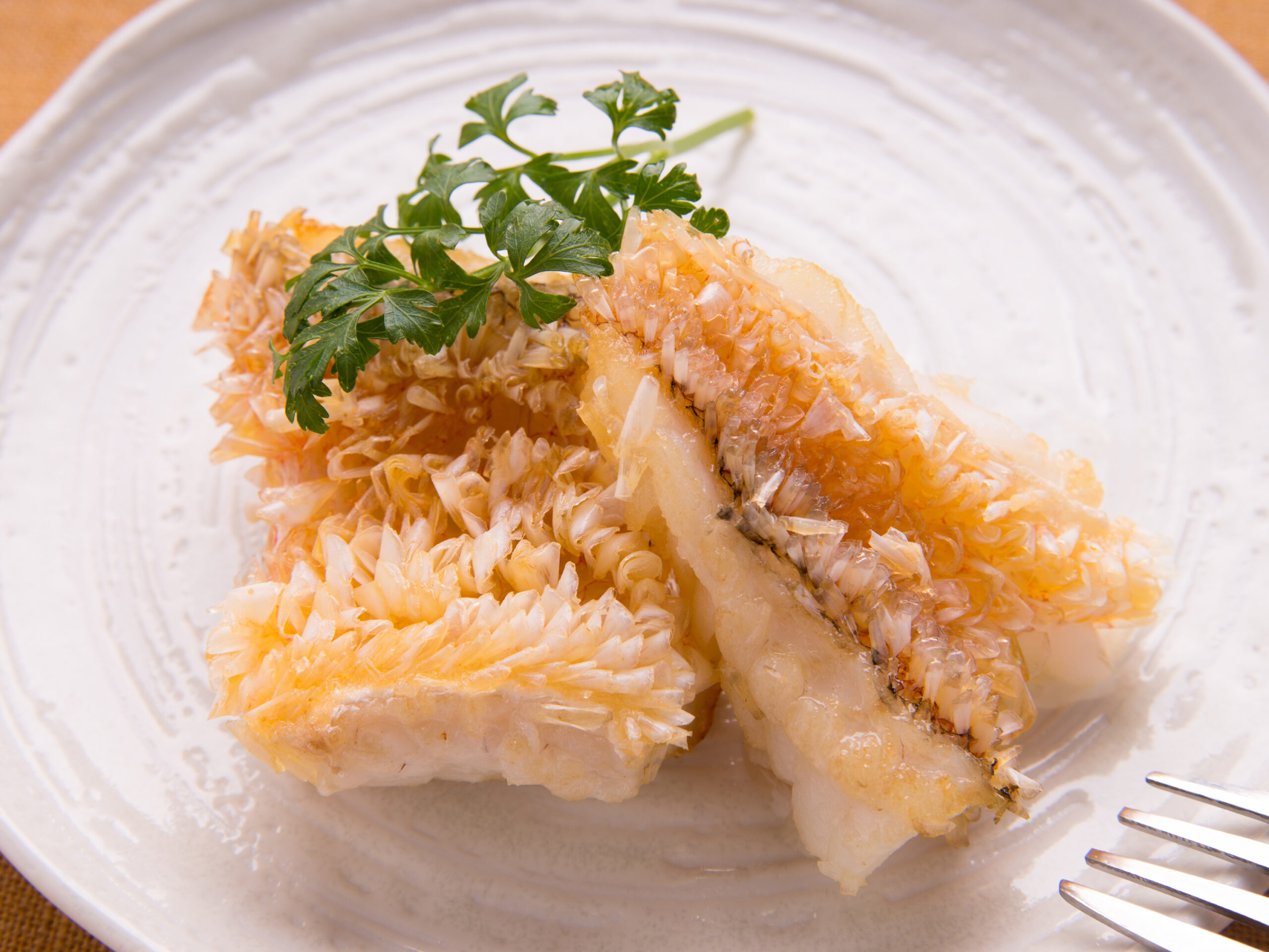 Fish in March - Ocean Boy Co.,Ltd.